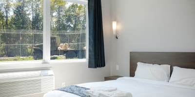 hotel_de_la_cite_perdue_1