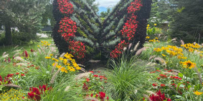 jardin_botanique_roger_van_den_hende_1