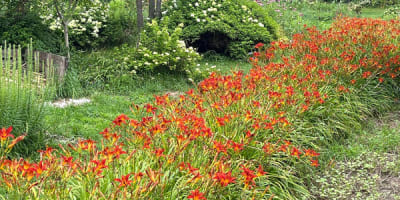 jardin_ceres_1