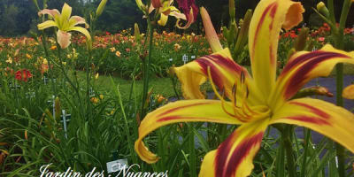 jardin_des_nuances_1