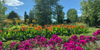 jardin_scullion_1