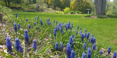 jardins_moore_gardens_1