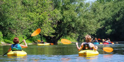 kayak_safari_1