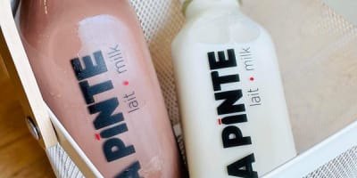 la_pinte_1