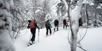 la_randonnee_alpine_dans_brome_missisquoi_1_h