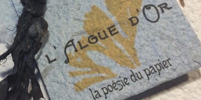 lalgue_dor_1