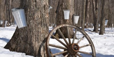 le_chalet_du_ruisseau_inc_1