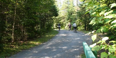 le_chemin_de_la_liseuse_1