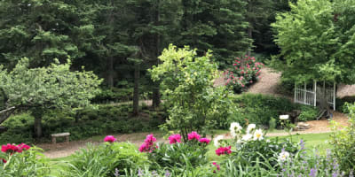 le_jardin_de_francois_1