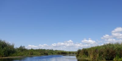 les_amis_de_la_reserve_nationale_de_faune_du_lac_saint_francois_2