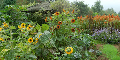 les_jardins_du_grand_portage_1