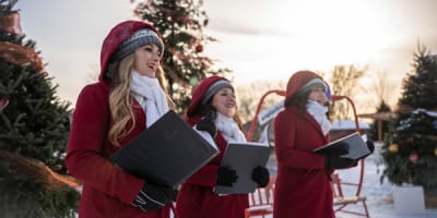 les_marches_de_noel_de_brome_missisquoi_1