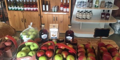 les_roy_de_la_pomme_enr___cidrerie_du_haut_st_jean_1