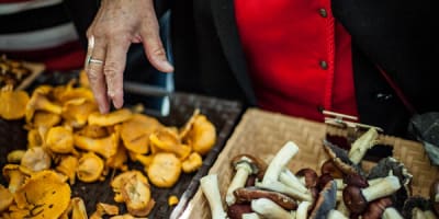 marche_agroalimentaire_de_val_david_1