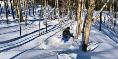 mont_alta_1_h