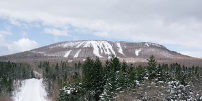 mont_comi_1_h