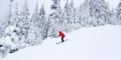 mont_sutton___station_de_ski_1_h