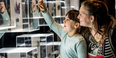musee_de_la_nature_et_des_sciences_de_sherbrooke_1