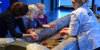 musee_du_fjord_1