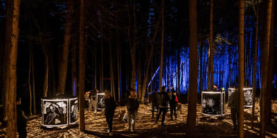 onhwa_lumina_1