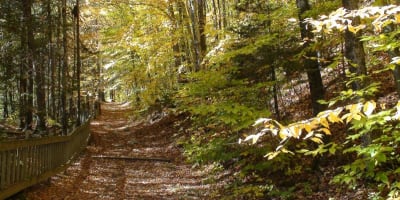 parc_des_chutes_lysander_1_a