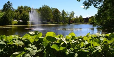 parc_du_domaine_howard_et_jardins_des_serres_municipales_carl_camirand_1