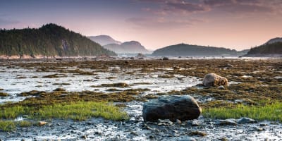 parc_national_du_bic_1