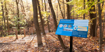 parc_naturel_terra_cotta_1_a