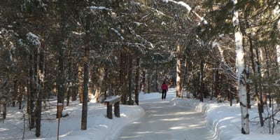 patinoire_en_foret_au_coeur_du_lac_des_loups_1
