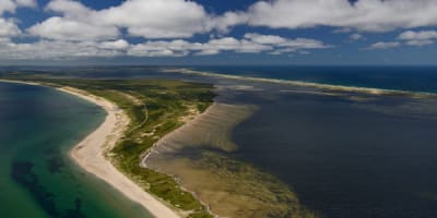 plage_de_la_dune_du_sud_cormorandiere_1