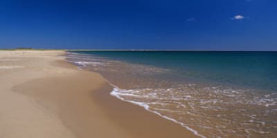 plage_de_la_grande_echouerie_1