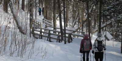 promenade_jacques_cartier_1_h