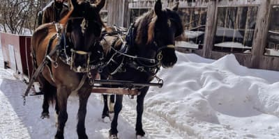 ptite_cabane_dla_cote_la_1