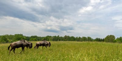ranch_dupont_1