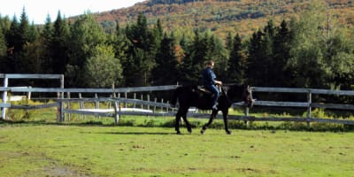 ranch_massif_du_sud_1