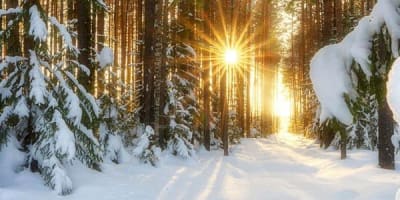 relaxation_et_nature_cet_hiver_en_petite_nation_1_h