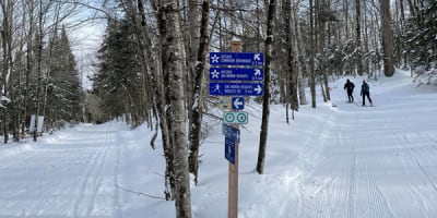 reseau_de_ski_de_fond_de_morin_heights__corridor_aerobique_1_h