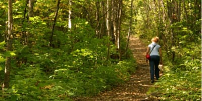 sentier_du_lac_imbeau_1