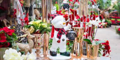 serres_sylvain_cleroux_1_h