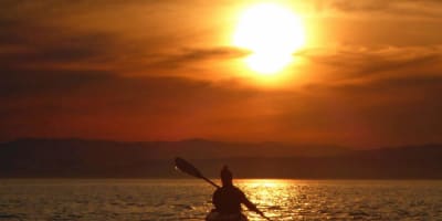 societe_decologie_de_la_batture_du_kamouraska_sebka_1
