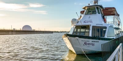 statera__croisiere_1