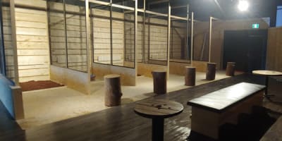 tnt__lancer_de_haches_a_montreal_1