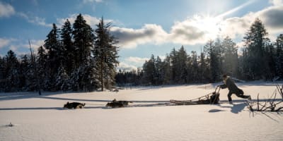 traineau_a_chiens_en_petite_nation_1_h