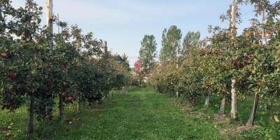 verger_duhaime_inc_1