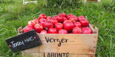 verger_labonte_1