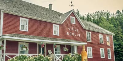 vieux_moulin___vin_de_miel_1