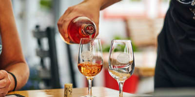 vignoble_du_mitan_1