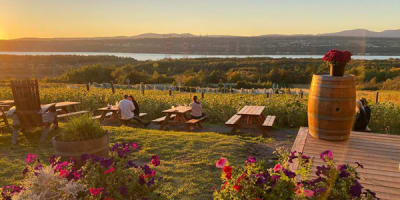 vignoble_isle_de_bacchus_1