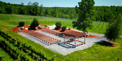 vignoble_la_halte_des_pelerins_1