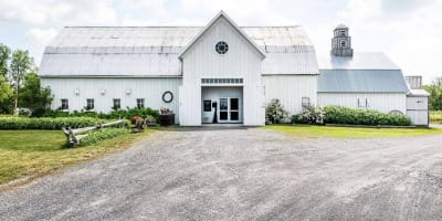 vignoble_le_mas_des_patriotes_1